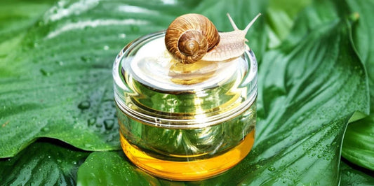 benefici della bava di lumaca