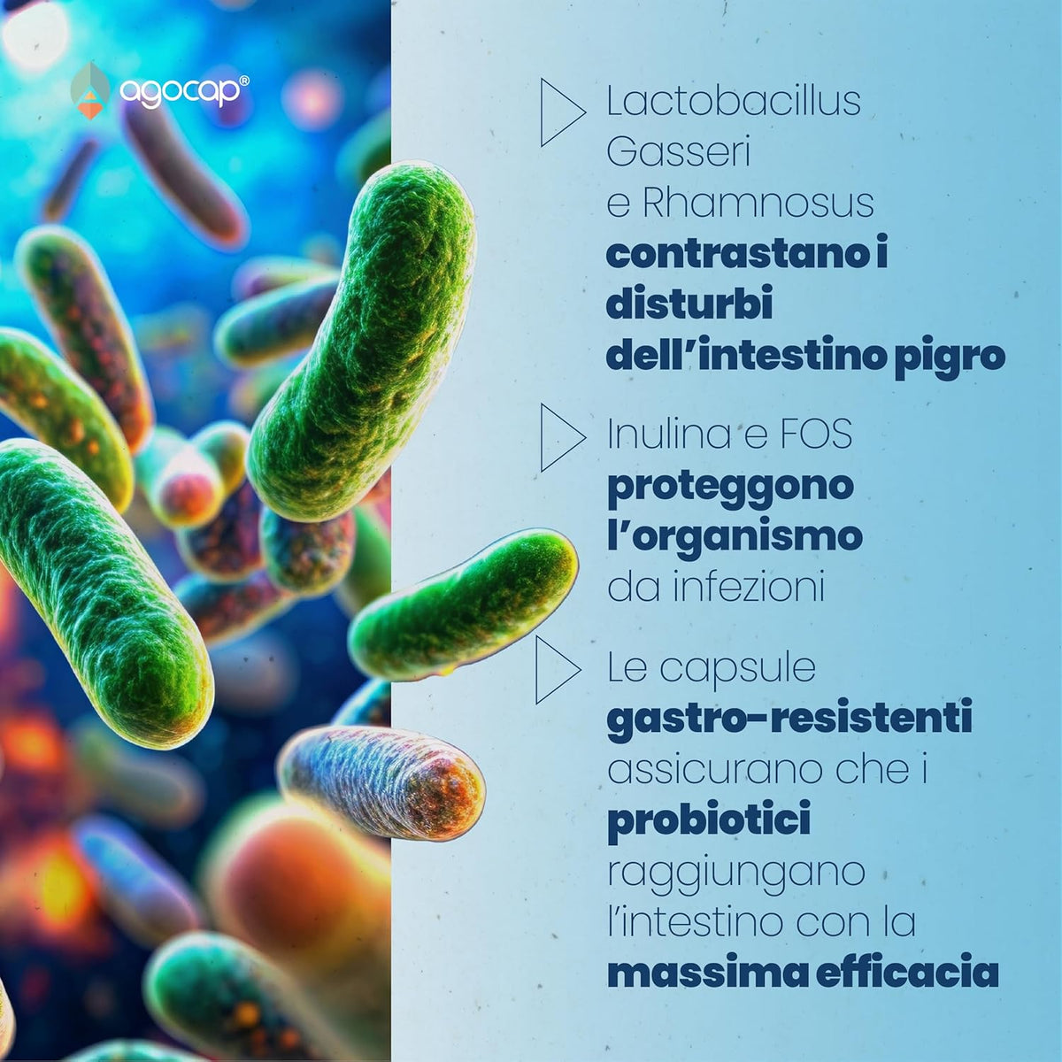 ProLactic | Fermenti lattici e prebiotici per l’equilibrio della flora intestinale - foto 4